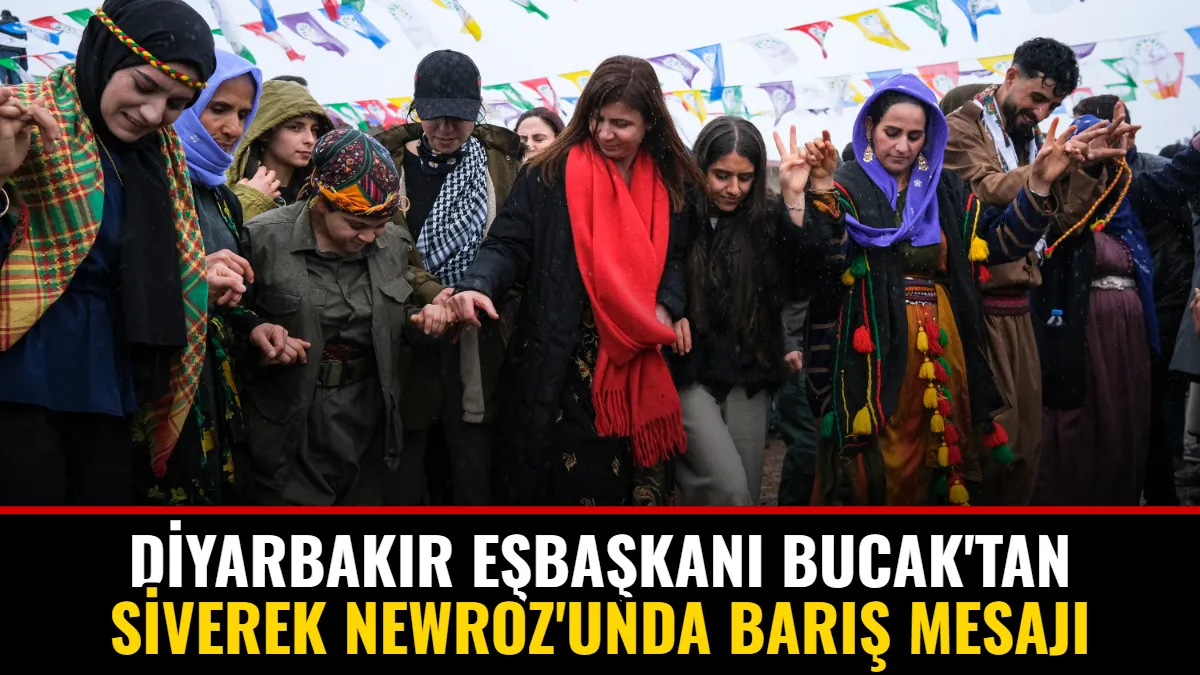 Diyarbakır Eşbaşkanı Bucak'tan Siverek Newroz'unda Barış Mesajı